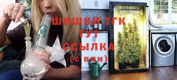 твердый Дмитриев