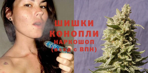 spice Дмитровск
