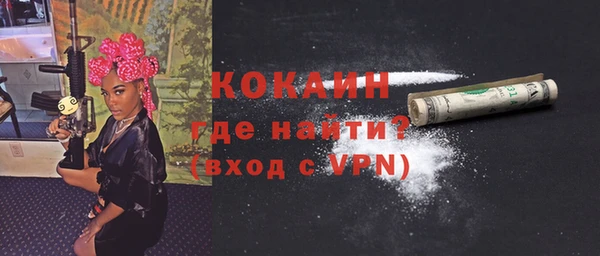 твердый Дмитриев
