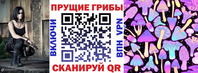 Галлюциногенные грибы прущие грибы  Купить где  Сертолово 
